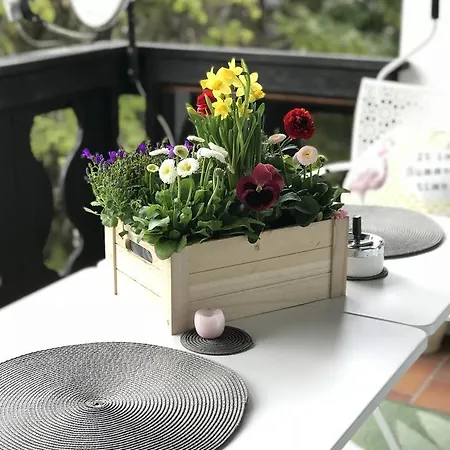 Apartament Mountain *